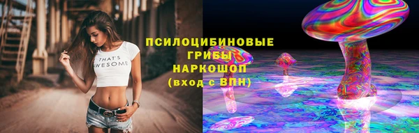 альфа пвп Весьегонск
