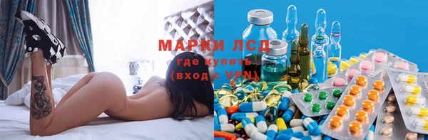 спиды Новозыбков