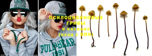 таблы Новодвинск