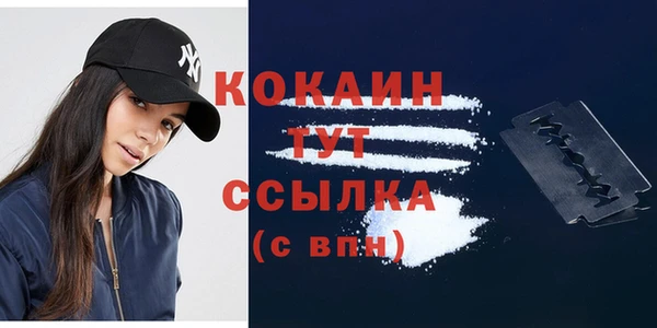 спиды Новозыбков