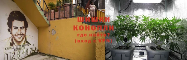 спиды Новозыбков