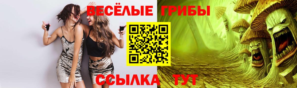 Зеленогорск  как найти закладки  Вход с VPN  Псилоцибиновые грибы Magic Shrooms 