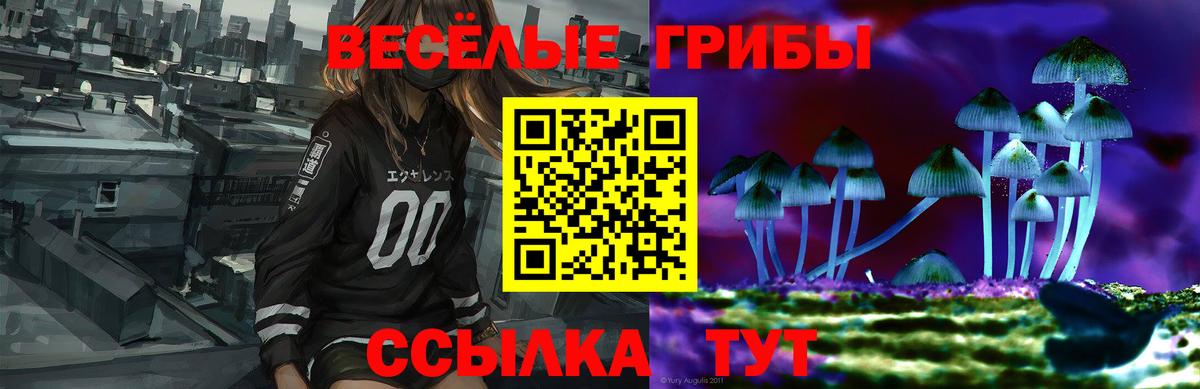 Марихуана  Альфа-ПВП  МДМА  Кокаин  Хэш  Вход с VPN  Зеленогорск  МЕФ  Круглые 