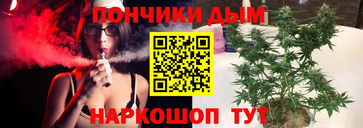 Марихуана сатива  Каннабис THC 21%  Зеленогорск 